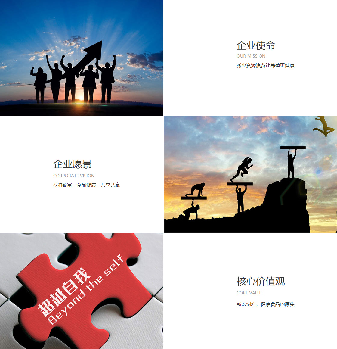 开云app官方网页版(图1)